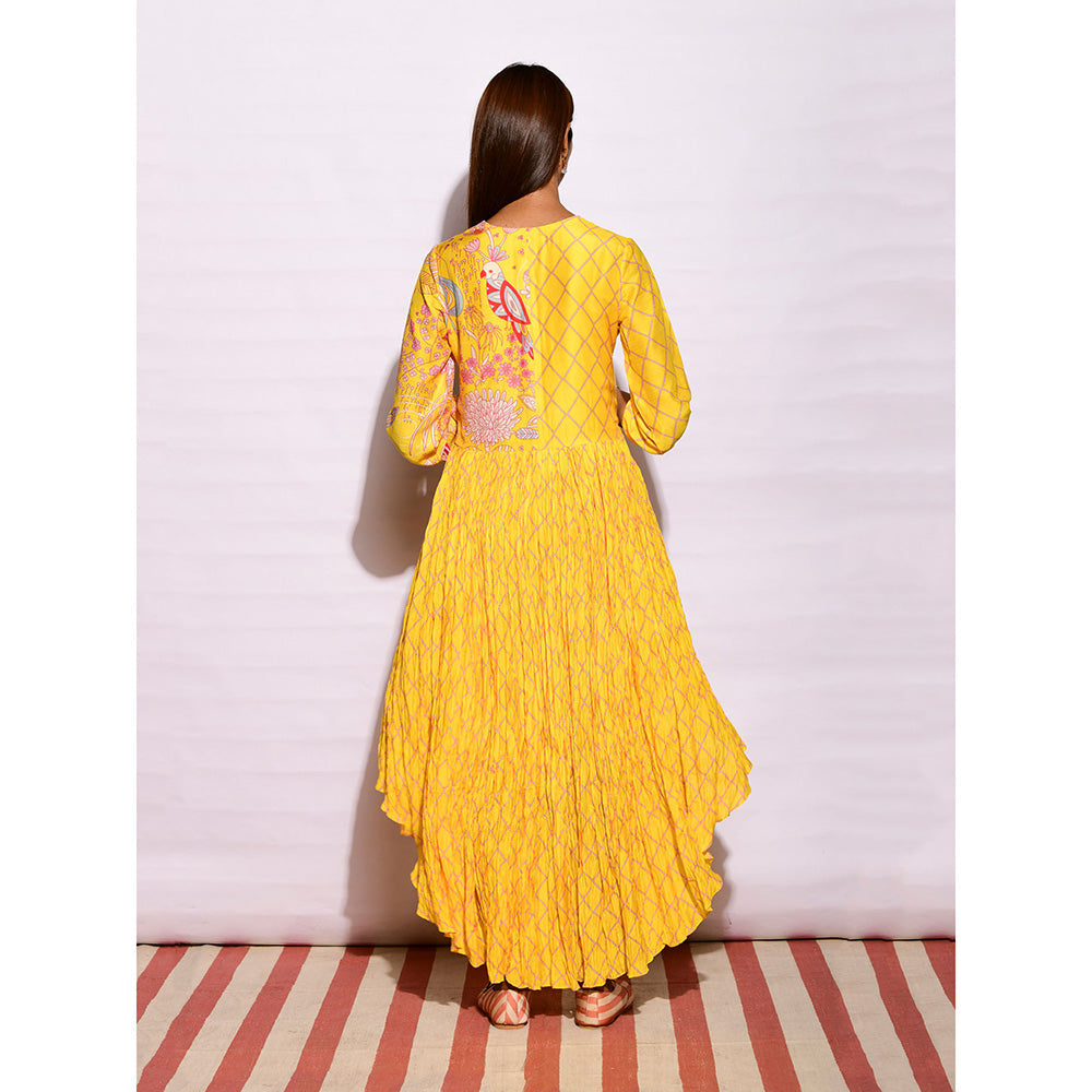 Swati Vijaivargie In Bloom Yellow Diamond Asymmetric Printed Dress