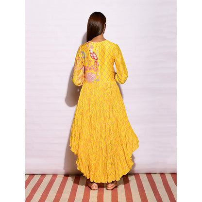 Swati Vijaivargie In Bloom Yellow Diamond Asymmetric Printed Dress