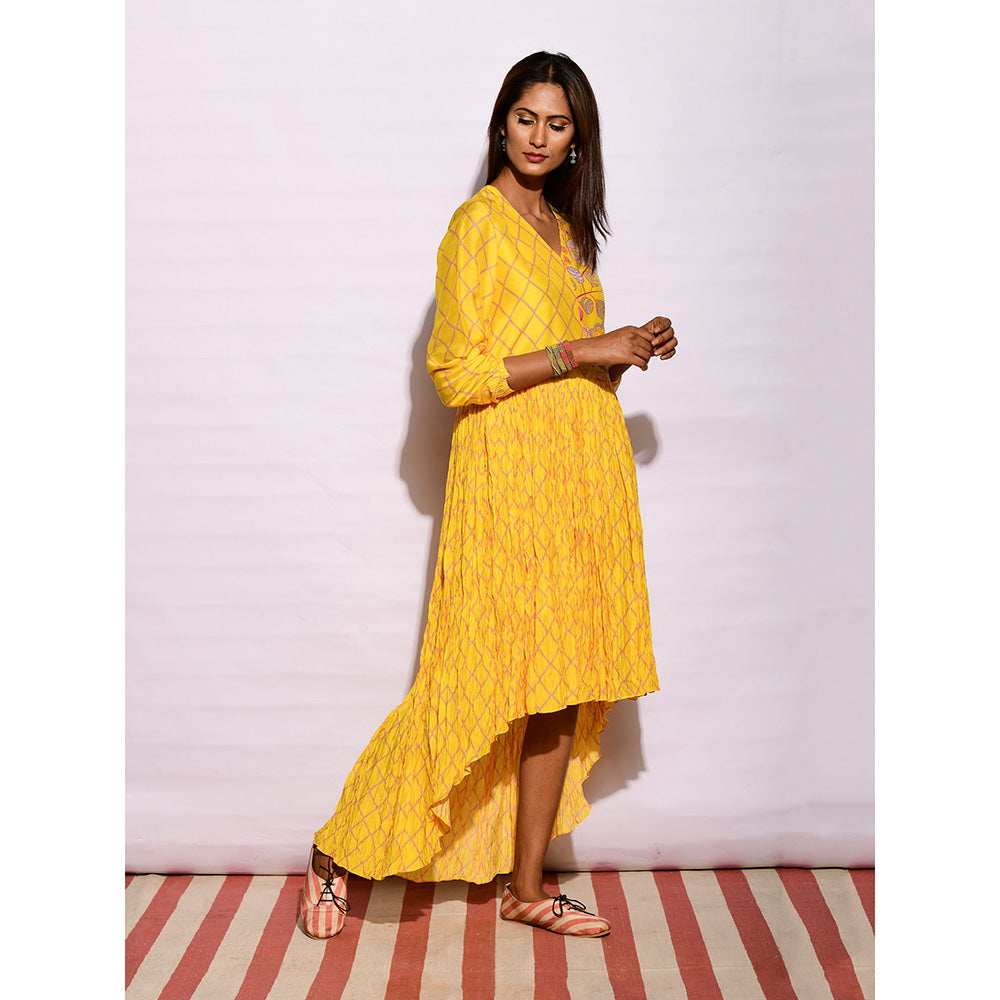 Swati Vijaivargie In Bloom Yellow Diamond Asymmetric Printed Dress