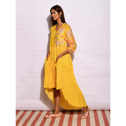 Swati Vijaivargie In Bloom Yellow Diamond Asymmetric Printed Dress