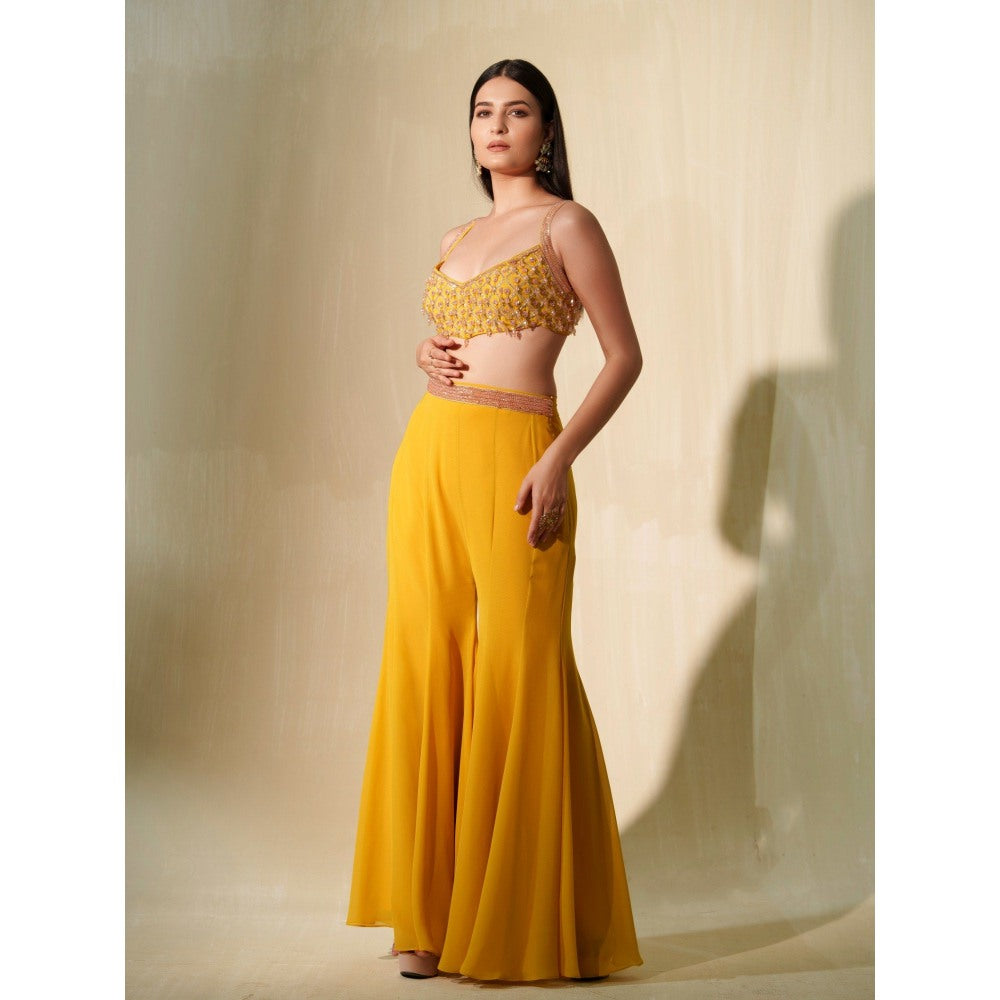 Tamaraa by Tahani Mustard Yellow Kalee Cape with Blouse and Shaara (Set of 3)