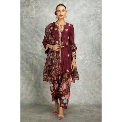 Tanu Malhotra Wine Mirror Embroidered Kurta with Salwar and Dupatta (Set of 3)