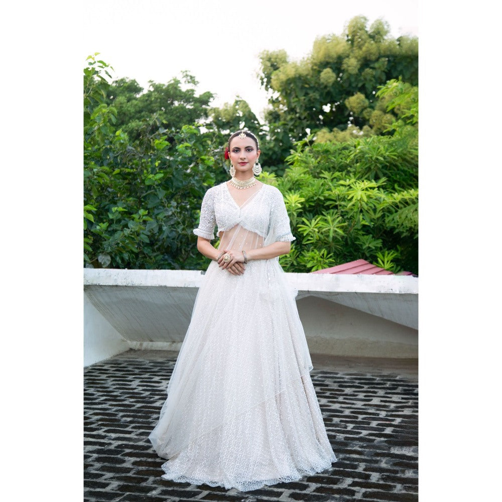 Tanu Malhotra Ivory Net Embroidered Flowy Lehenga with Blouse and Dupatta (Set of 3)