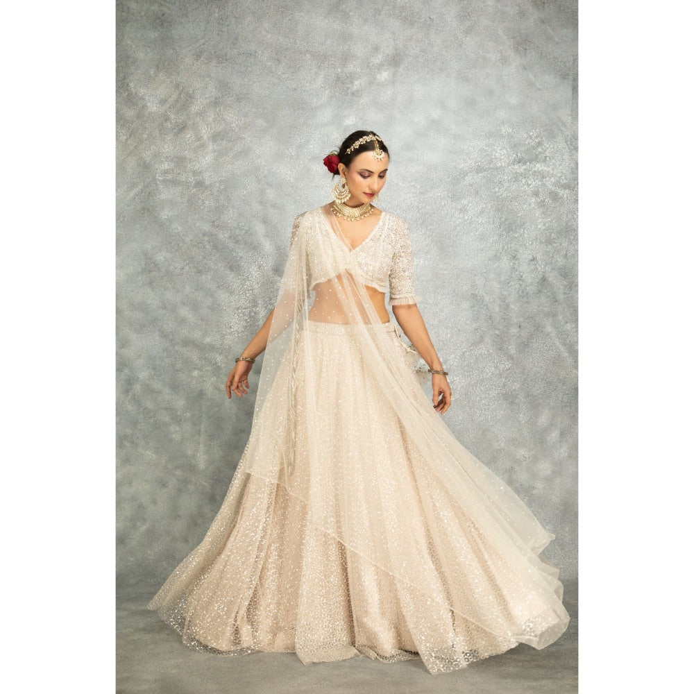 Tanu Malhotra Ivory Net Embroidered Flowy Lehenga with Blouse and Dupatta (Set of 3)