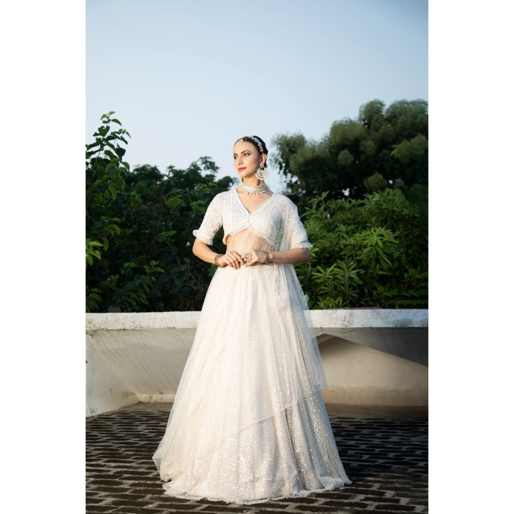 Tanu Malhotra Ivory Net Embroidered Flowy Lehenga with Blouse and Dupatta (Set of 3)