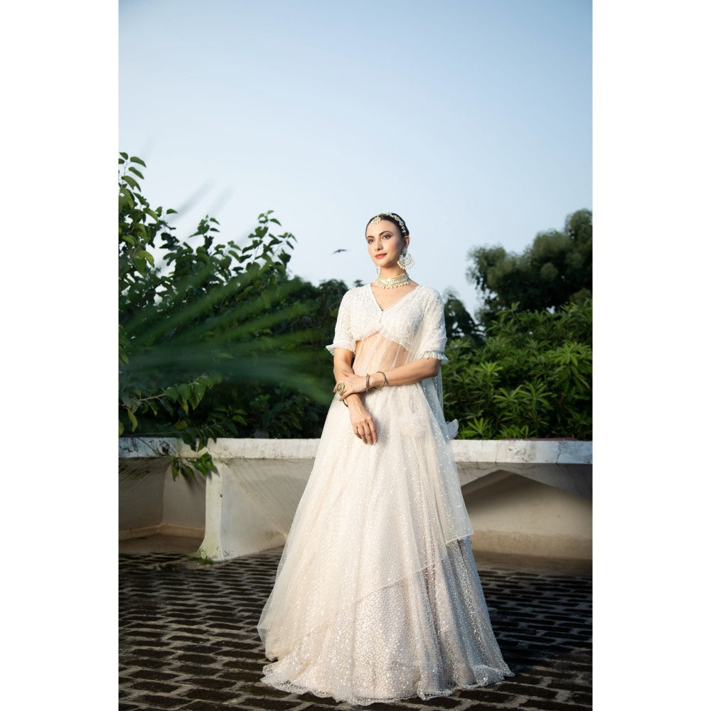 Tanu Malhotra Ivory Net Embroidered Flowy Lehenga with Blouse and Dupatta (Set of 3)