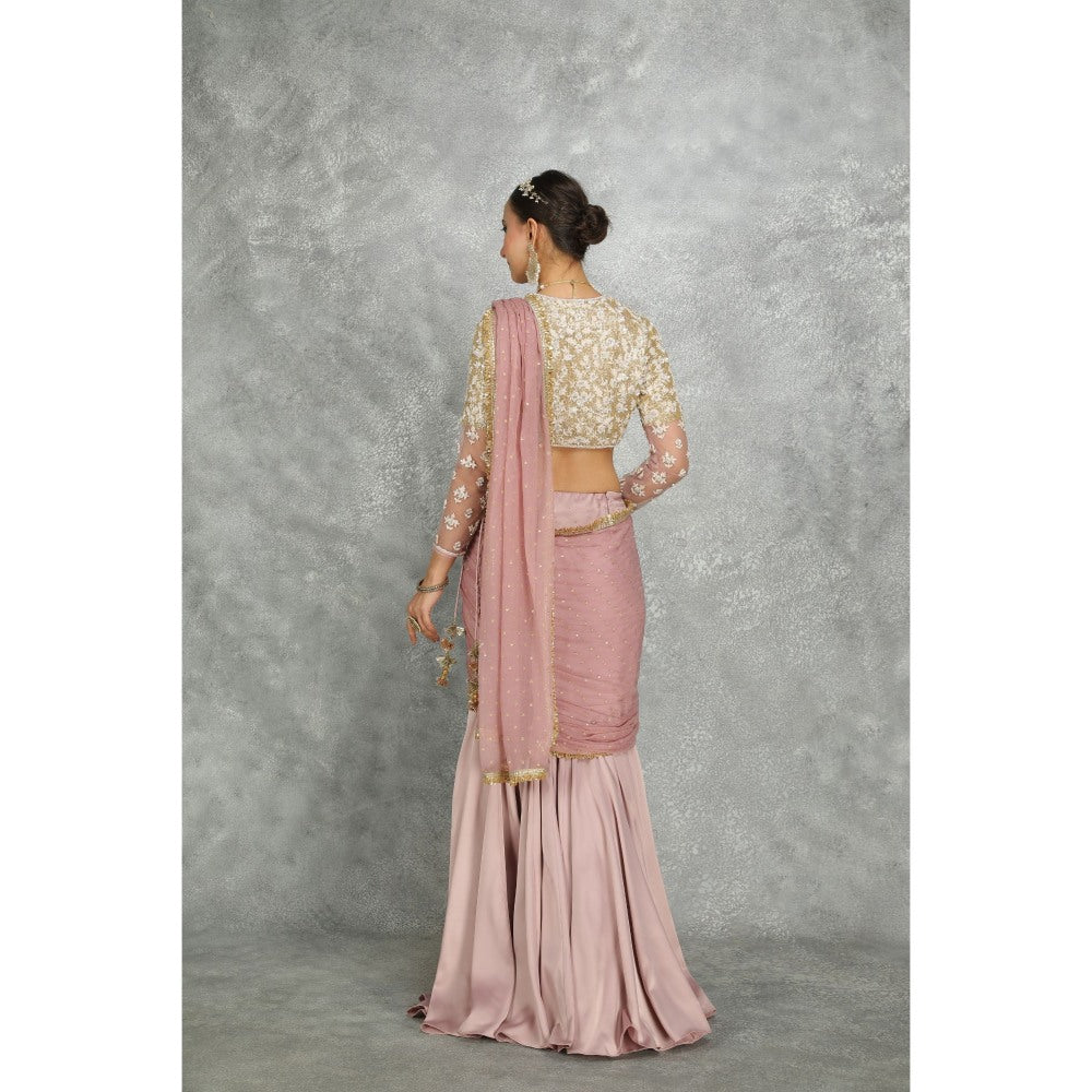 Tanu Malhotra Pink Net & Chiffon Draped Fish-Cut Skirt Saree with Stitched Blouse