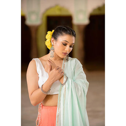 Taraasi Noorani' Coral Mulmul Cotton Kalidar Ghaghra With Blouse And Dupatta