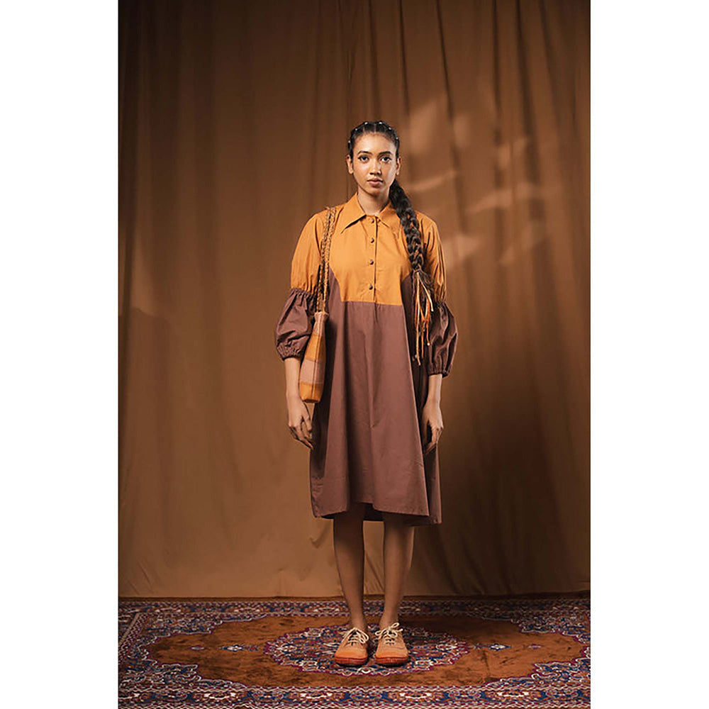 Taraasi Posham Pa' Cotton Shirt Dress