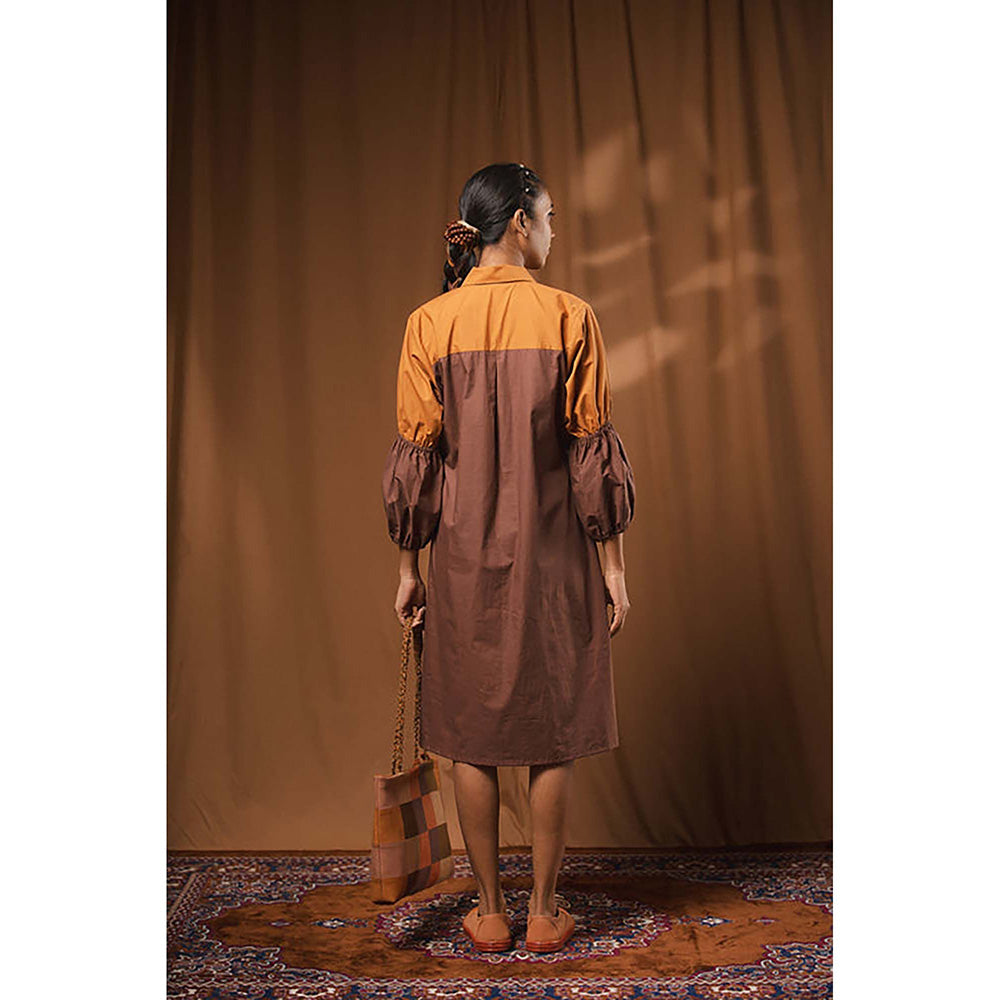 Taraasi Posham Pa' Cotton Shirt Dress