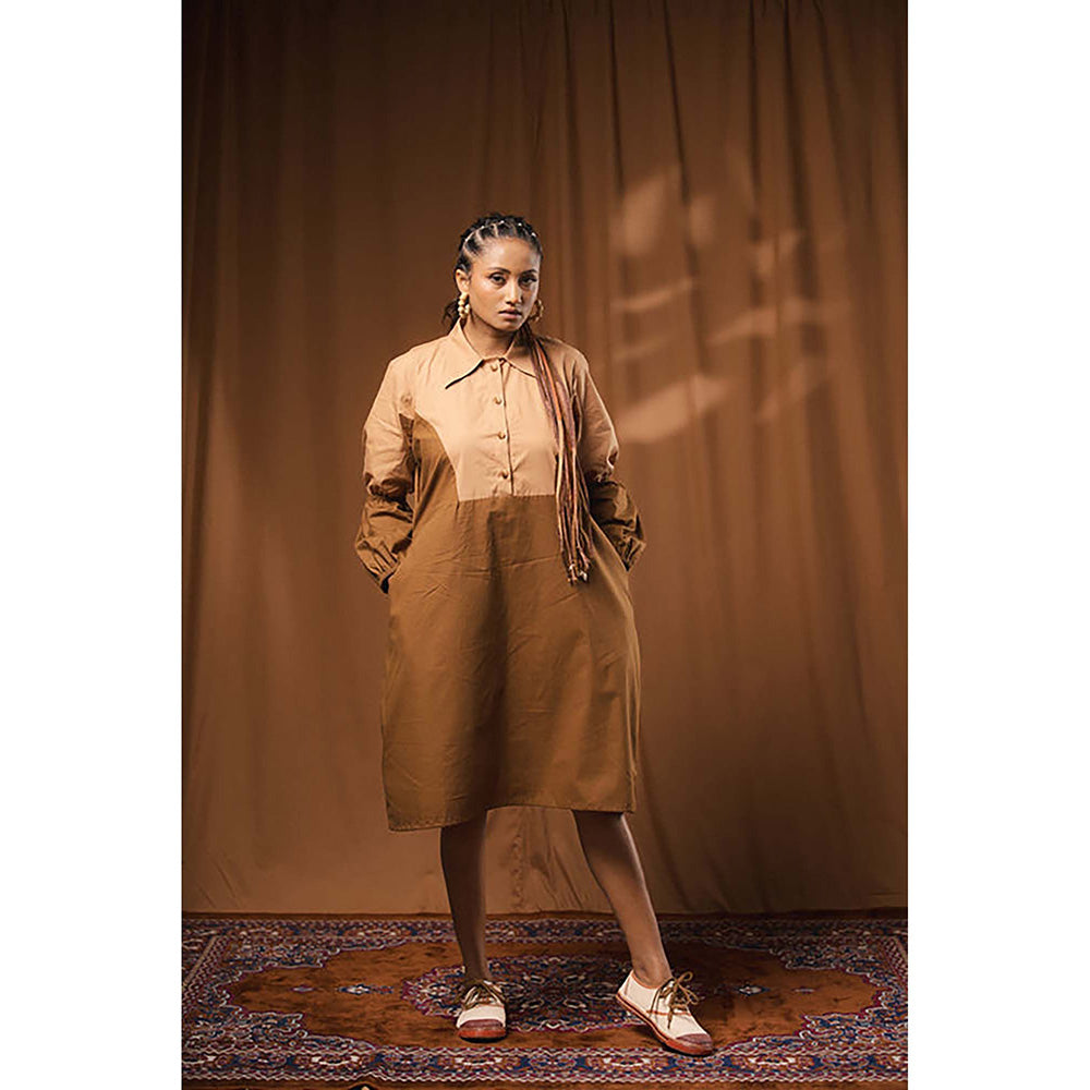 Taraasi Posham Pa' Cotton Shirt Dress