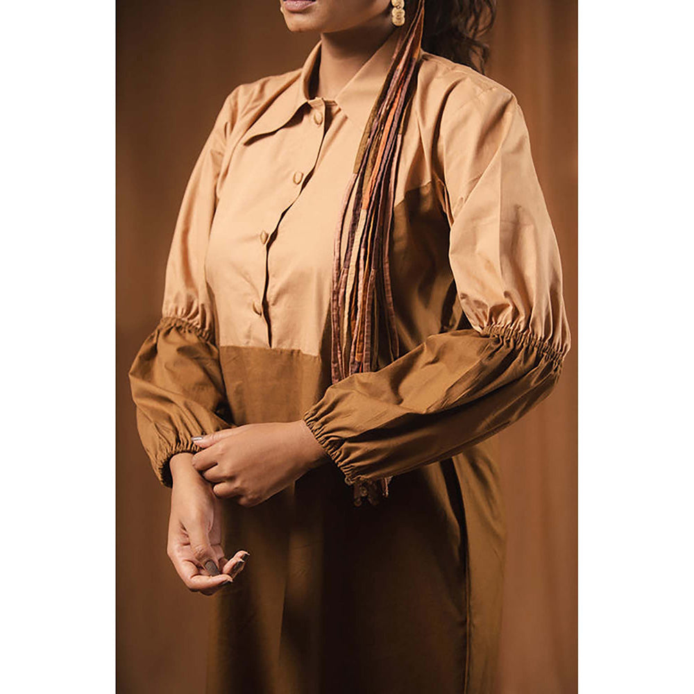 Taraasi Posham Pa' Cotton Shirt Dress