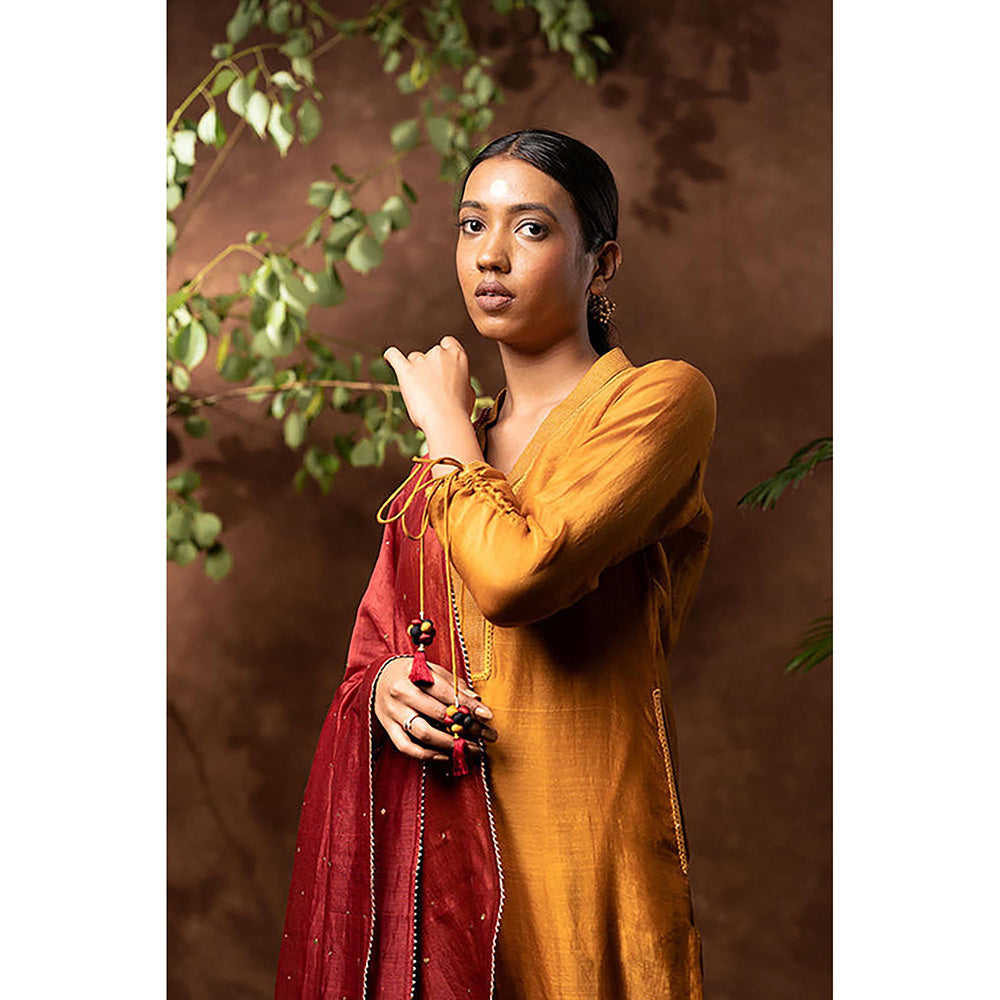 Taraasi Handloom Chanderi Silk Kurta