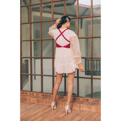 Tarini Vij Ava & Ember Pink Mini Dress with Crop Top (Set of 2)