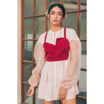 Tarini Vij Ava & Ember Pink Mini Dress with Crop Top (Set of 2)