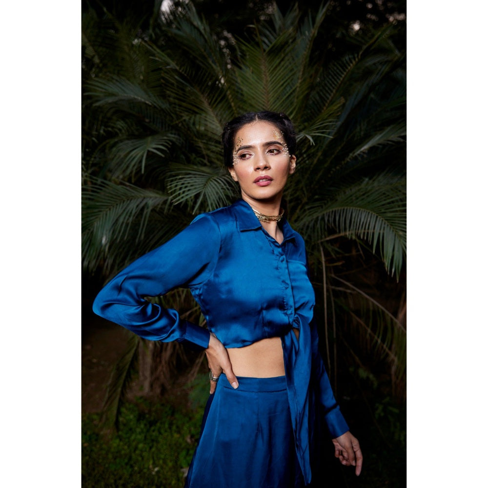 Tarini Vij Blue Claire Co-Ord (Set of 2)