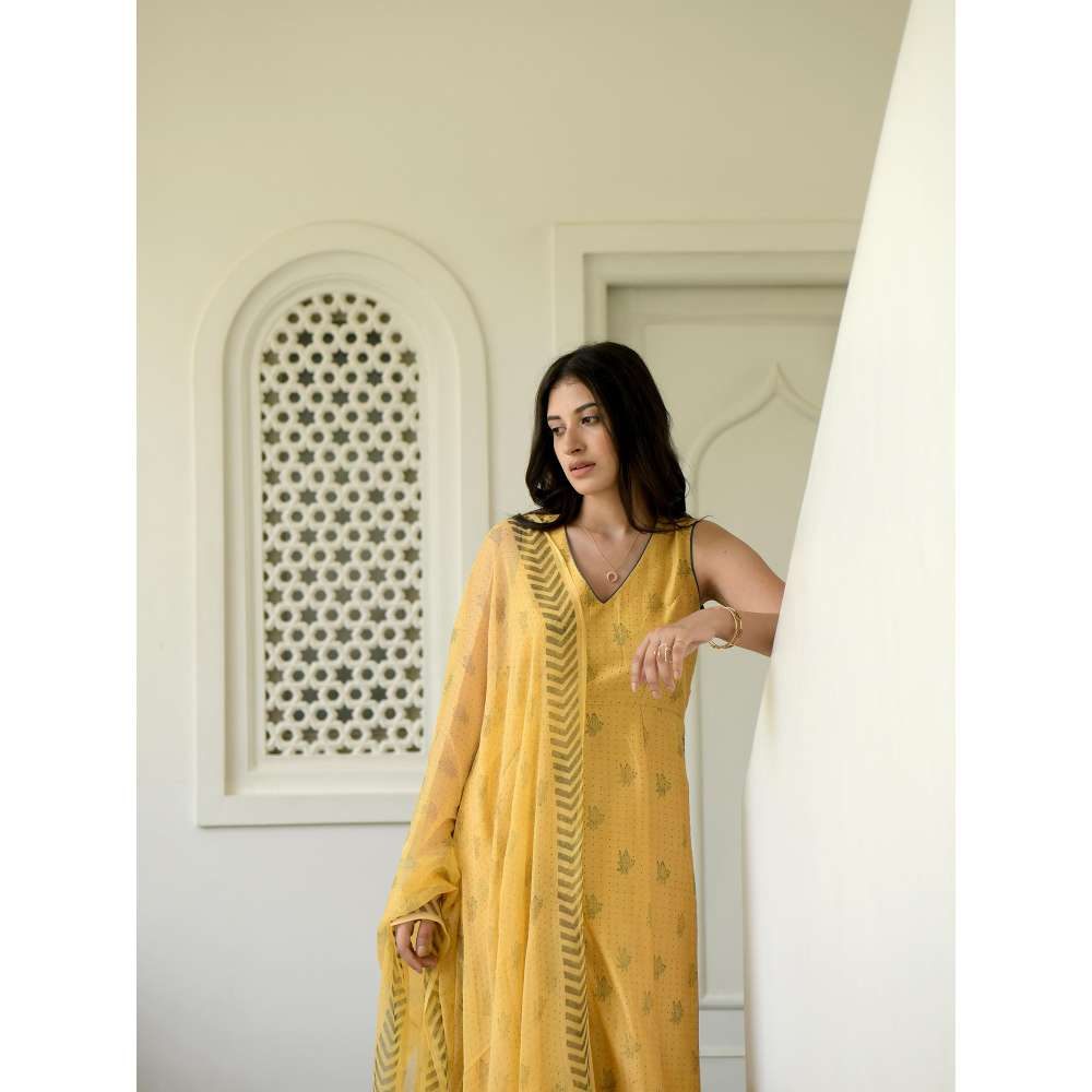 Taro india Mustard and Cornflower Kurta with Pant and Dupatta (Set of 3)