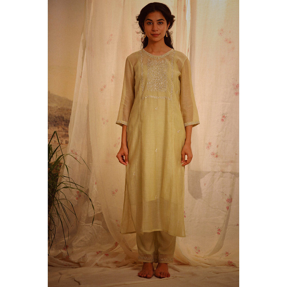 Tatwa Designs Sage Green Tonal Yoke Kurta (Set of 3)