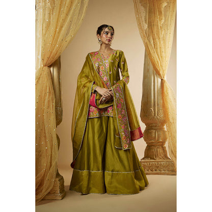THE AARYA Olive Green Chanderi Zardozi Embroidered Kurta with Sharara & Dupatta (Set of 3)