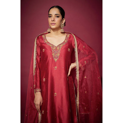 THE AARYA Red Raia Embellished Kurta with Palazzo and Dupatta (Set of 3)
