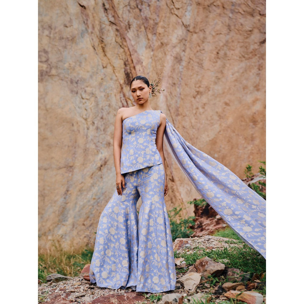 The Whole Nine Yards Avani One Shoulder Embellished Co-Ord (Set of 2)