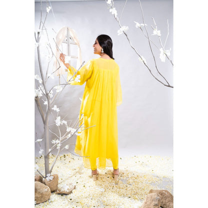 The White Tree Studio Ravina Intricate Pleated Embroidered Kurta with Pant & Inner (Set of 3)