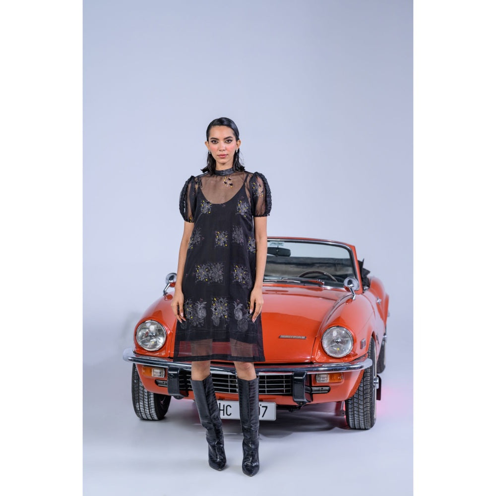 The Dramebaaz Company Englishvine Organza Printed Dress with Inner (Set of 2)