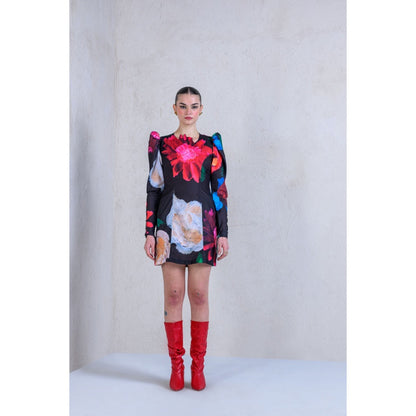 The Dramebaaz Company La-Vie-En-Rose' Dress