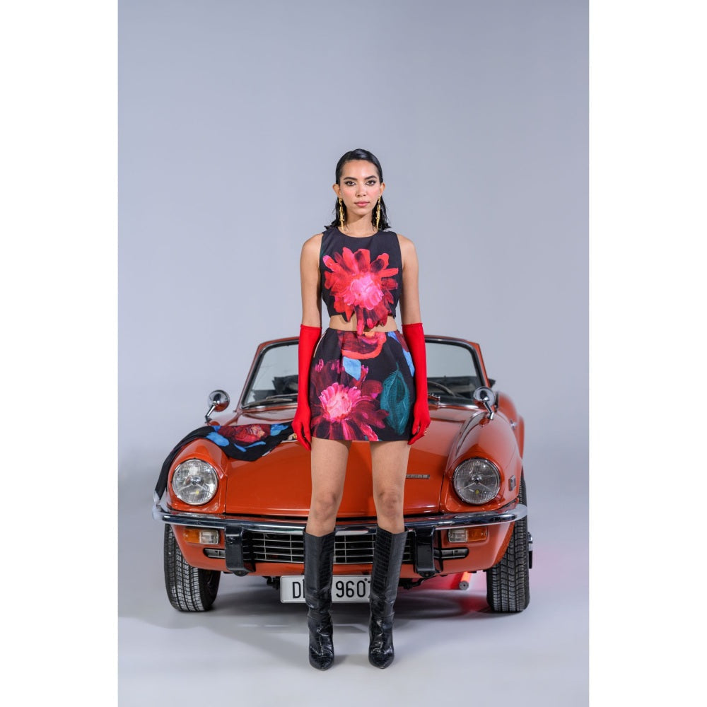 The Dramebaaz Company Dahlia Dreamland Skirt with Crop Top (Set of 2)