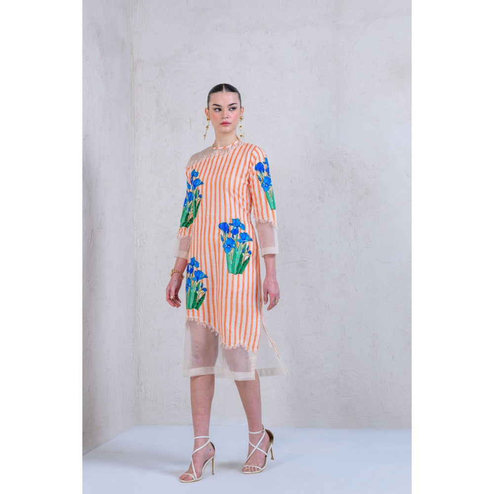 The Dramebaaz Company Zest-Zephyr Frayed Organza Dress
