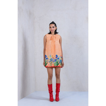 The Dramebaaz Company Lush Organza Dress