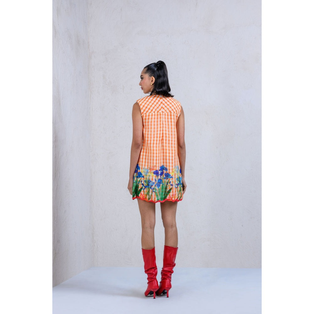 The Dramebaaz Company Lush Organza Dress