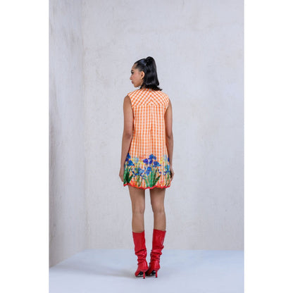 The Dramebaaz Company Lush Organza Dress