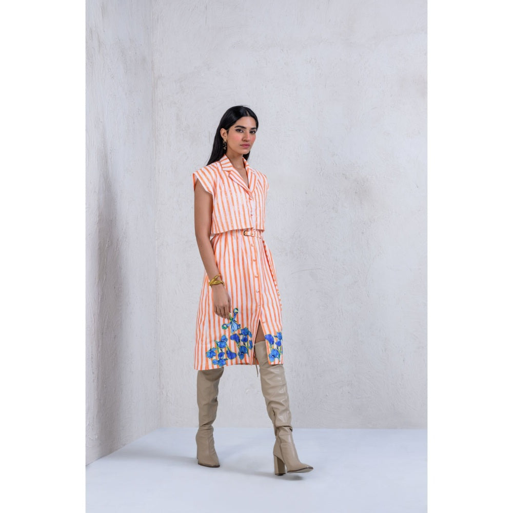 The Dramebaaz Company Mystical Meadow Trench Dress with Belt (Set of 2)