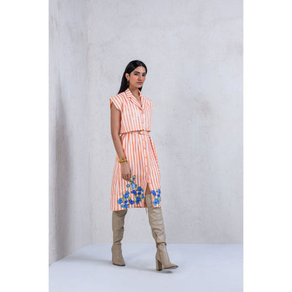 The Dramebaaz Company Mystical Meadow Trench Dress with Belt (Set of 2)