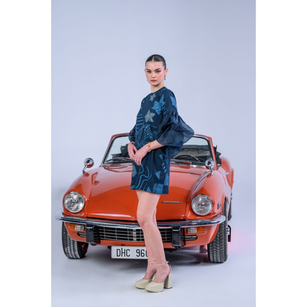 The Dramebaaz Company Gilded Dahlia Organza Sleeved Dress