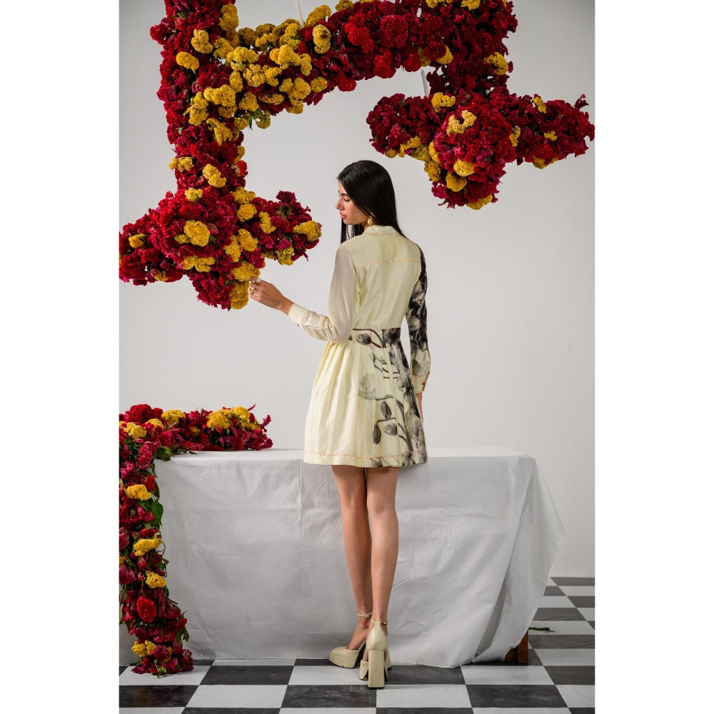 The Dramebaaz Company Amour Pleated Printed Dress