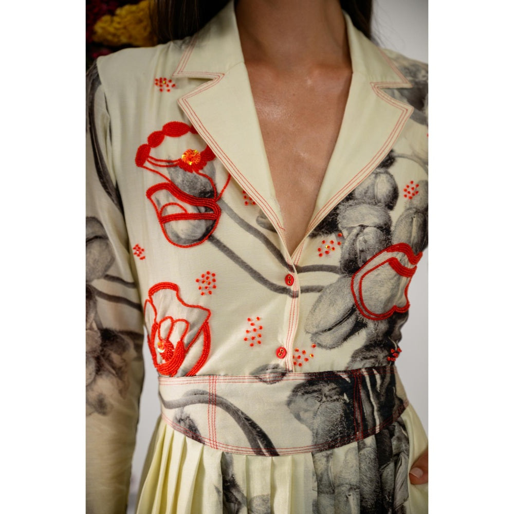 The Dramebaaz Company Amour Pleated Printed Dress