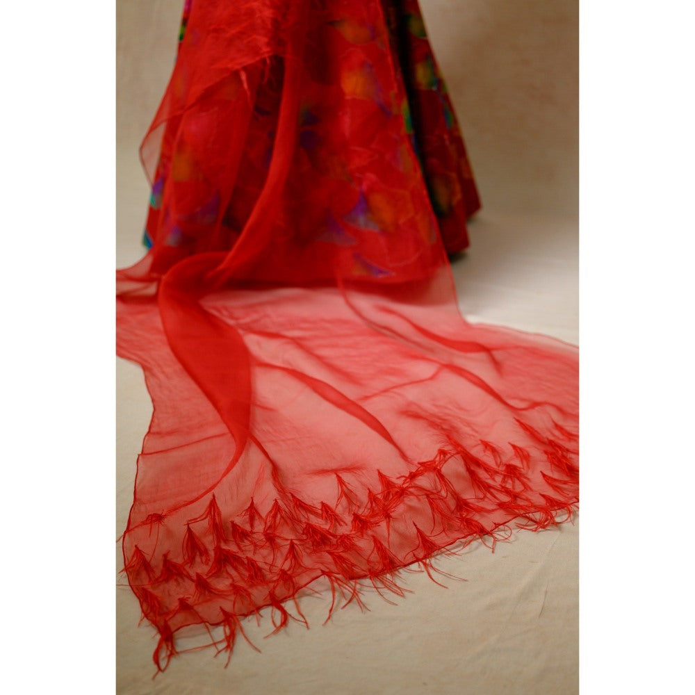 THETAA Hand Embroidered Lehenga with Drape Blouse and Feather Dupatta (Set of 3)