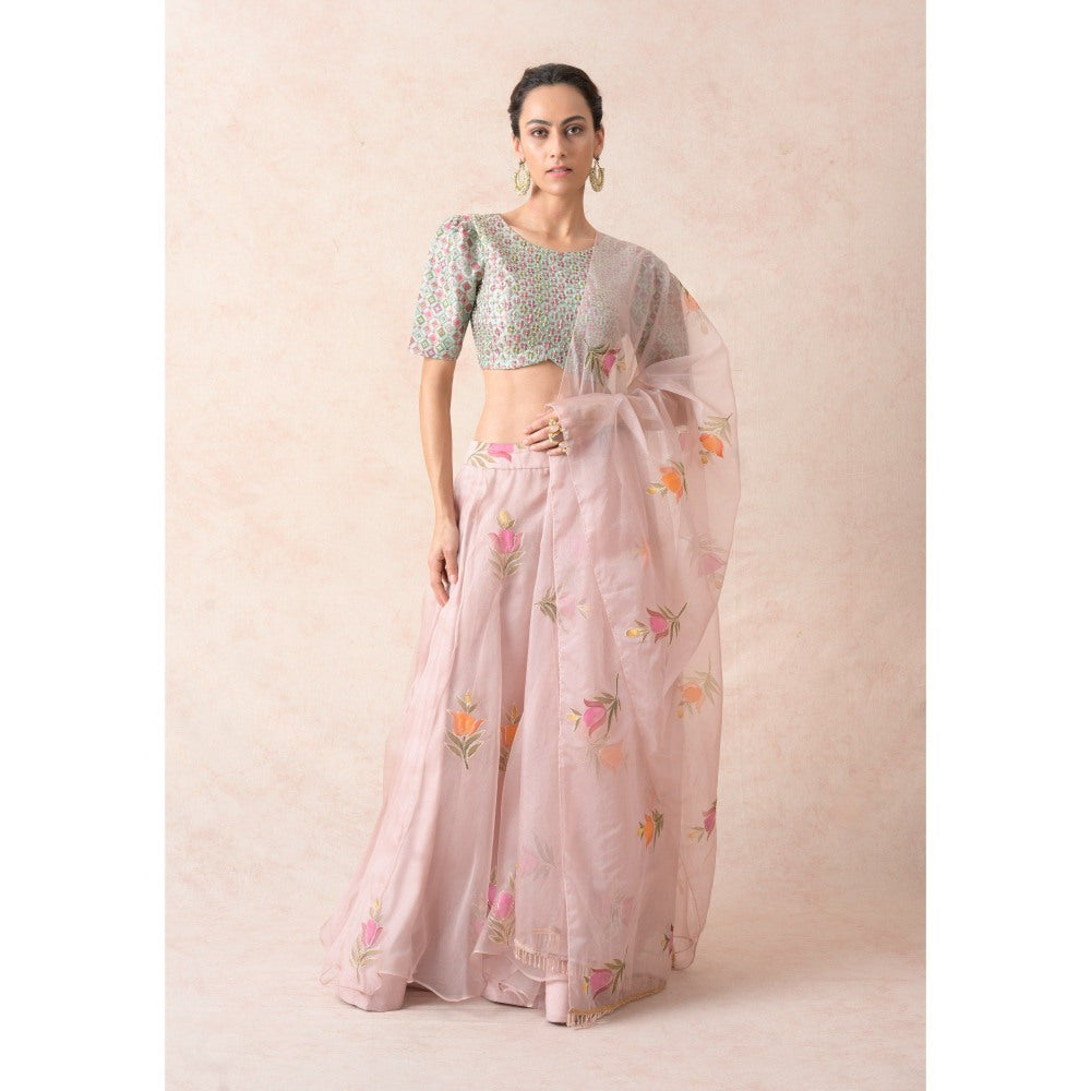 THETAA Hand Embroidered Blouse with Powder Pink Lehenga with Dupatta (Set of 3)