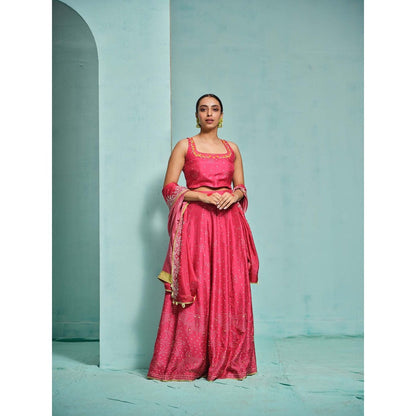 The Clothing Therapy Pink Lehenga with Blouse and Dupatta (Set of 3)