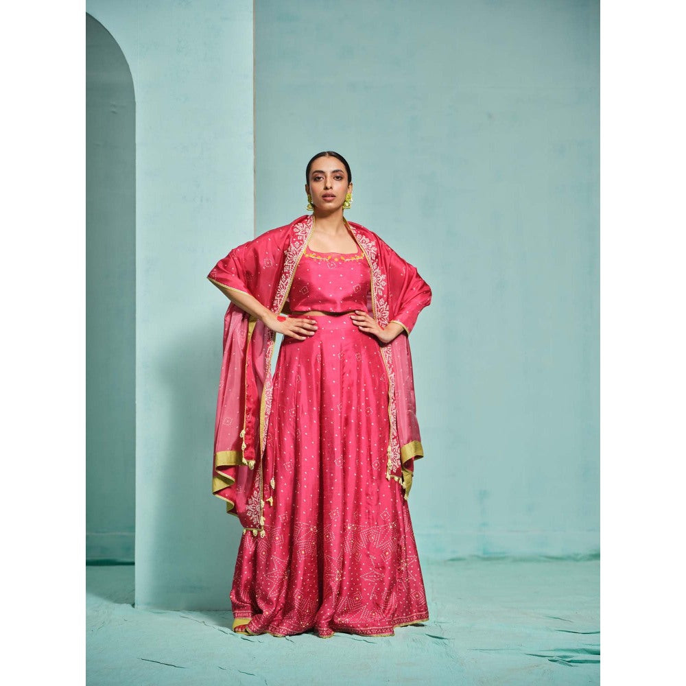 The Clothing Therapy Pink Lehenga with Blouse and Dupatta (Set of 3)