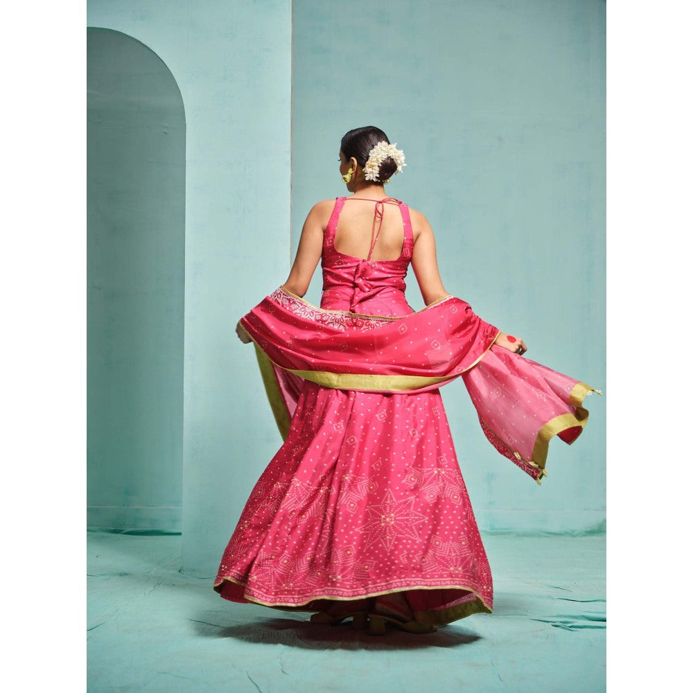 The Clothing Therapy Pink Lehenga with Blouse and Dupatta (Set of 3)