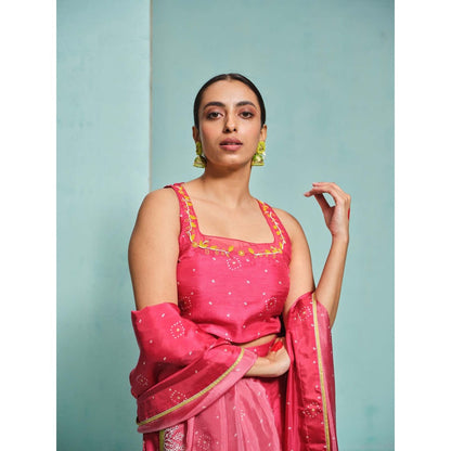 The Clothing Therapy Pink Lehenga with Blouse and Dupatta (Set of 3)