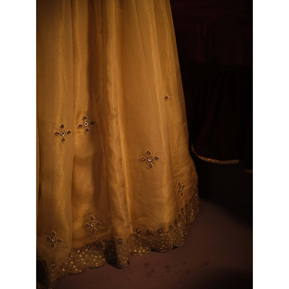 The Clothing Therapy Powder Blue Lehenga with Blouse and Dupatta (Set of 3)