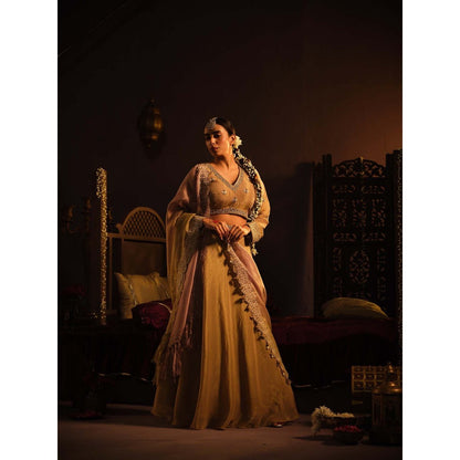 The Clothing Therapy Brown Lehenga with Blouse and Dupatta (Set of 3)