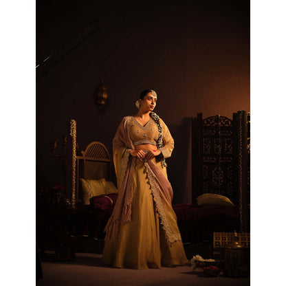 The Clothing Therapy Brown Lehenga with Blouse and Dupatta (Set of 3)