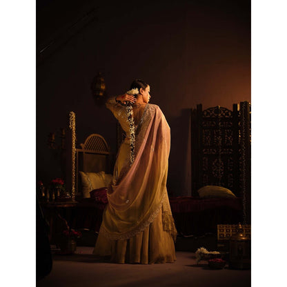 The Clothing Therapy Brown Lehenga with Blouse and Dupatta (Set of 3)