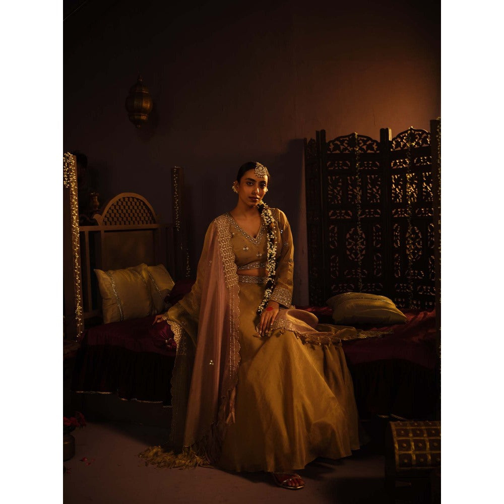 The Clothing Therapy Brown Lehenga with Blouse and Dupatta (Set of 3)