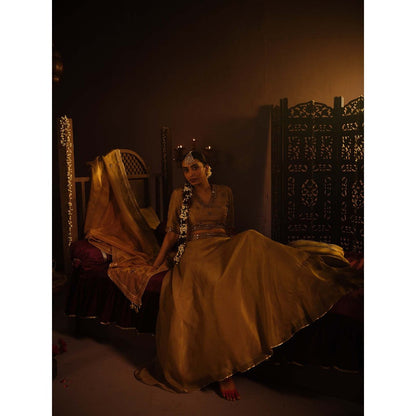 The Clothing Therapy Brown Lehenga with Blouse and Dupatta (Set of 3)